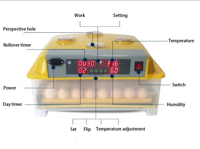 Incubator Hatching